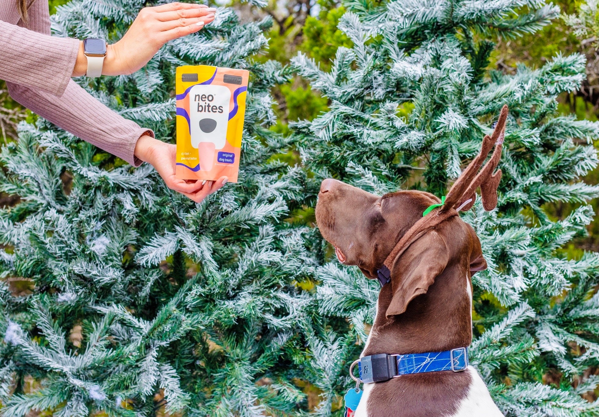 Neo Bites Launches First Line of Functional Dog Food Toppers Powered B