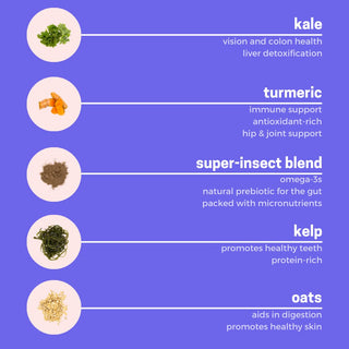 Neo Bites Health Aid Meal Topper Ingredients List including Kale, Turmeric, Kelp, Oats, and Super Insect Blend