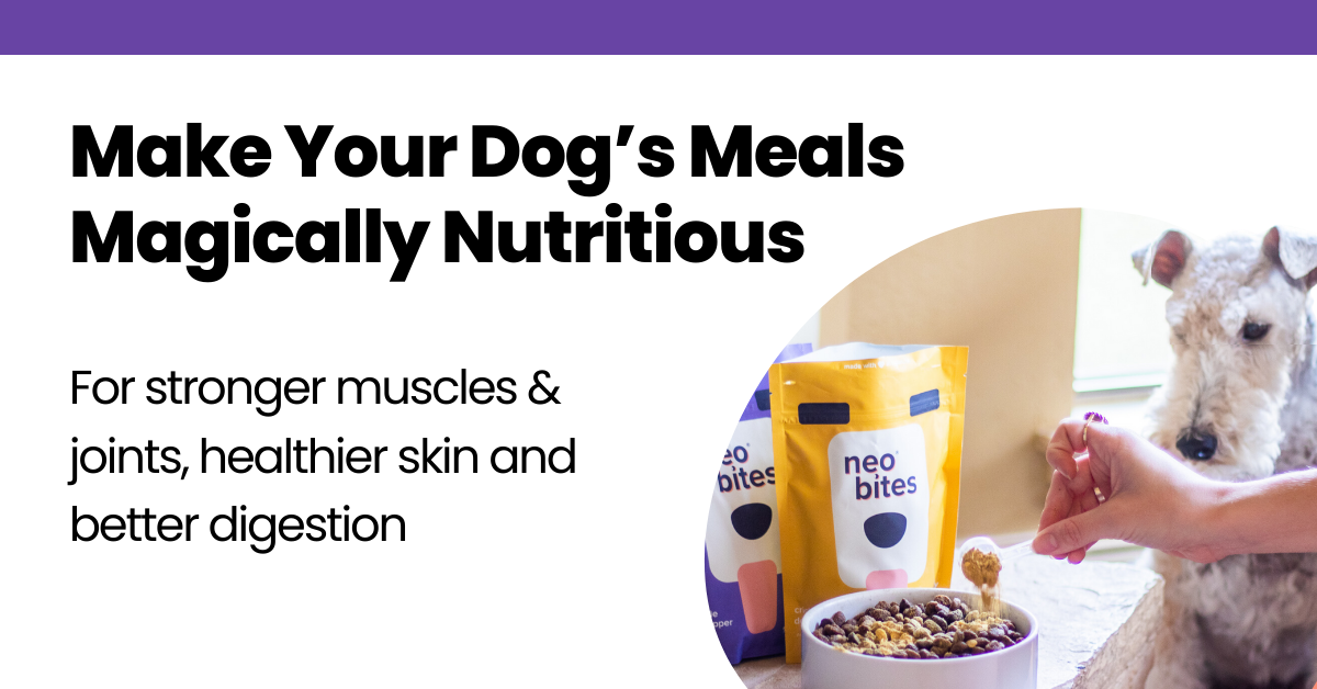 Neo Bites | Make Your Dog's Meals Healthier
