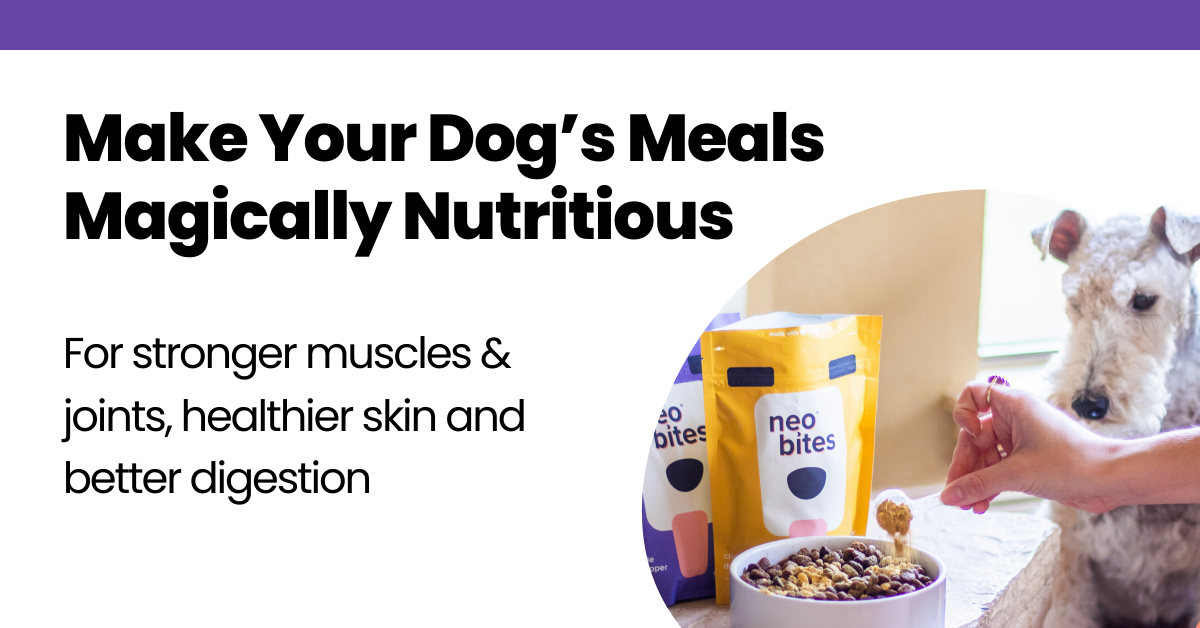 Neos dog outlet chews