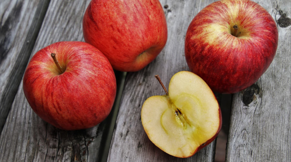 Image result for 5 Healthy Perks of Incorporating Apples into Your Dog's Diet - Neo Bites