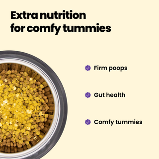 Digestive Aid Meal Topper