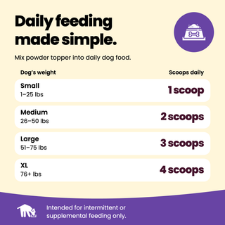 Digestive Aid Meal Topper