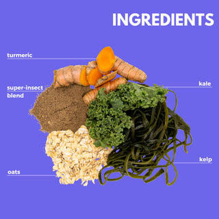 Neo Bites Health Aid Meal Topper Ingredients including Turmeric, Kale, Kelp, Oats, and Super Insect Blend