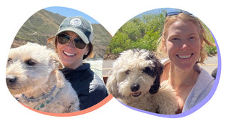 Alison Tirone and Anne Carroll Ingersoll, owners of Neo Bites, with their dogs Biggles and Munchkin