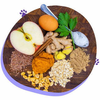 A picture of ingredients for Neo Bites Superfood Meal Toppers and Original Superfood Dog Treats including apple, egg, ginger, turmeric, cinnamon, oats, peanuts, and flaxseed